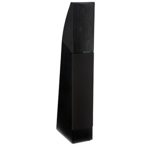Напольная акустика Martin Logan Motion 12