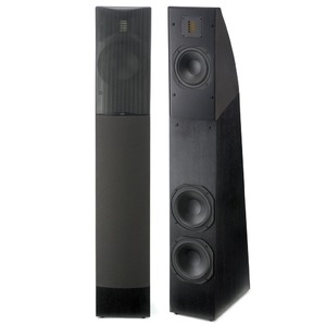 Напольная акустика Martin Logan Motion 12