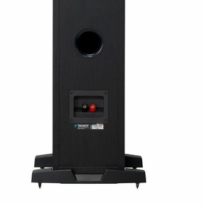 Напольная акустика Tannoy Eclipse Three Black Oak