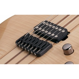 Электрогитара SCHECTER Banshee Elite-7 GNAT