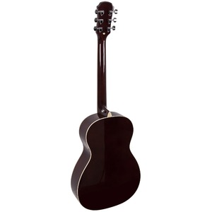 Акустическая гитара ARIA APN-15 N