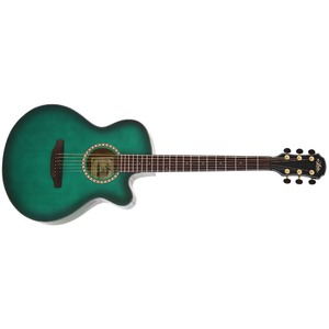 Акустическая гитара ARIA TG-1 SGR