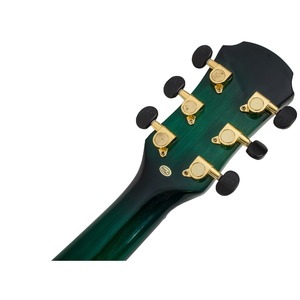 Акустическая гитара ARIA TG-1 SGR
