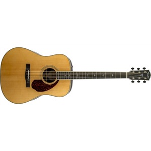 Акустическая гитара Fender PM-1 Standard Dreadnought Nat