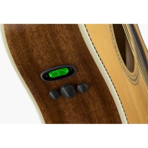 Акустическая гитара Fender PM-1 Standard Dreadnought Nat