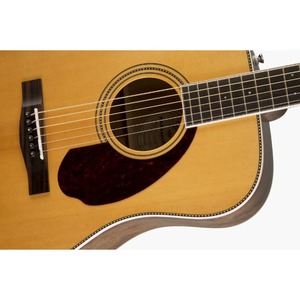 Акустическая гитара Fender PM-1 Standard Dreadnought Nat