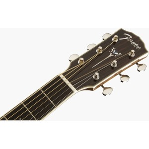 Акустическая гитара Fender PM-1 Standard Dreadnought Nat