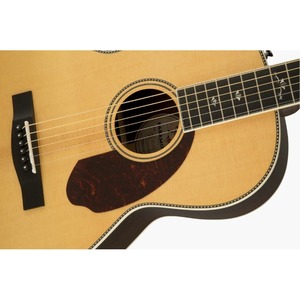 Акустическая гитара Fender PM-2 Deluxe Parlor Nat