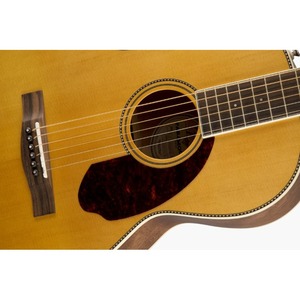 Акустическая гитара Fender PM-2 Standard Parlor Nat