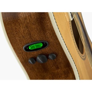 Акустическая гитара Fender PM-2 Standard Parlor Nat