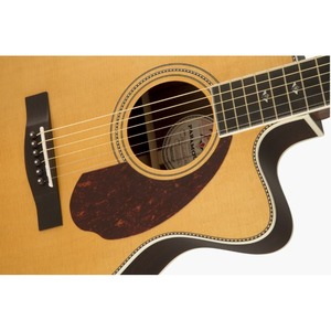 Акустическая гитара Fender PM-3 Deluxe Triple Nat
