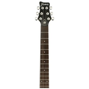 Электрогитара FRAMUS Diablo Nirvana Black Oil