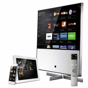 LED-телевизор 55 дюймов LOEWE Reference ID 55 Light Alu-Silver