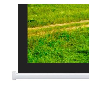 Экран для дома, настенно потолочный с электроприводом Projecta Elpro Concept 191x300 Matte White (10103541)