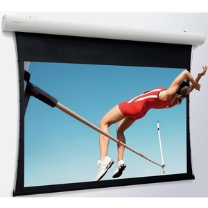 Экран для дома, настенно потолочный с электроприводом Projecta Elpro Concept 191x300 Matte White (10103541)