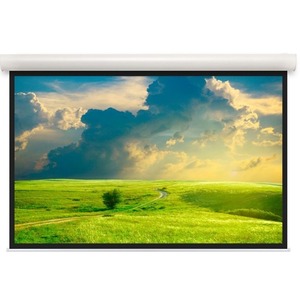 Экран для дома, настенно потолочный с электроприводом Projecta Elpro Concept 191x300 Matte White (10103541)