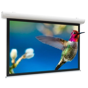 Экран для дома, настенно потолочный с электроприводом Projecta Elpro Concept 191x300 Matte White (10103541)