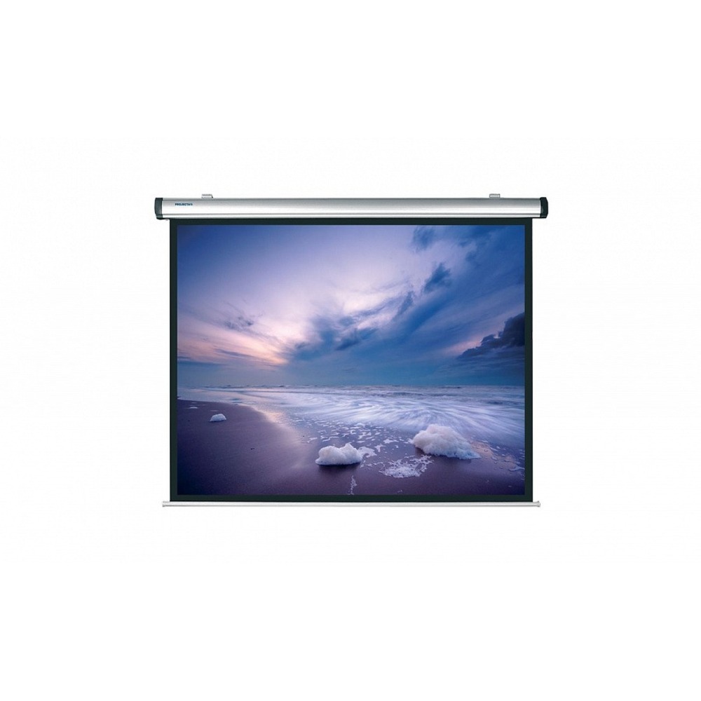 Экран для проектора Projecta Dynamic Electrol 150x198 Rear Projection (10130738)