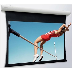 Экран для дома, настенно потолочный с электроприводом Projecta Elpro Concept 173x300 Matte White (10102098)
