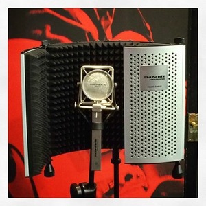 Микрофон студийный конденсаторный Marantz MPM3000
