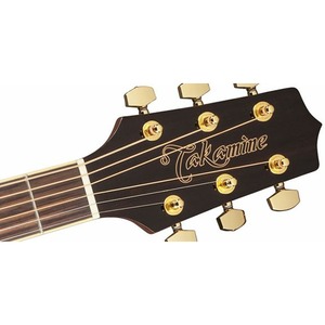Акустическая гитара Takamine G50 SERIES GD51-BSB