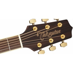 Акустическая гитара Takamine G50 SERIES GN51-BSB