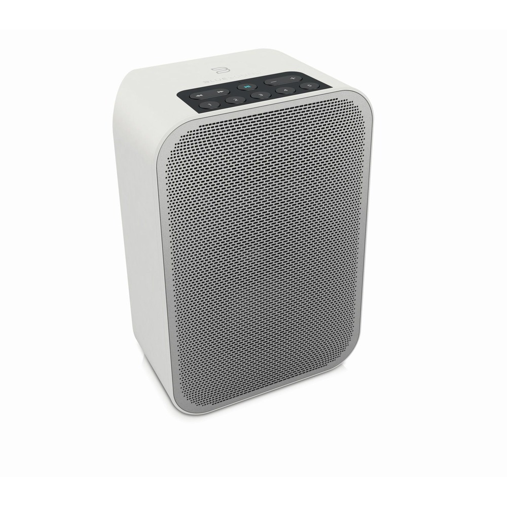 Портативная акустика Bluesound Pulse flex white