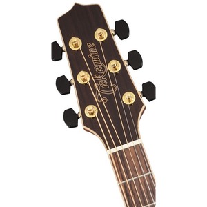 Акустическая гитара Takamine G90 SERIES GY93