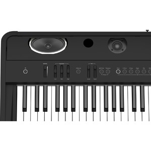 Пианино цифровое Roland FP-90 BK