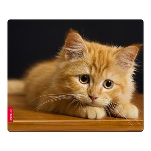 Коврик игровой Speedlink SL-6242-CAT SILK, Baby Cat