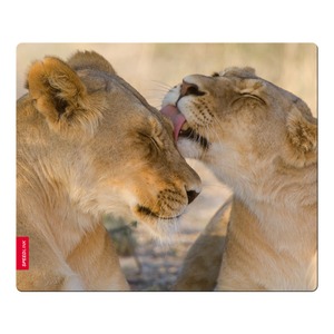 Коврик игровой Speedlink SL-6242-LION SILK, Lion