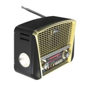 Радиоприемник Ritmix RPR-050 Gold