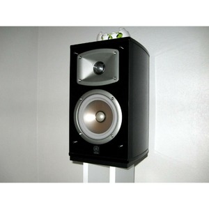 Полочная акустика Yamaha NS-333 Black (1 шт)