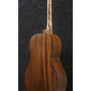 Акустическая гитара IBANEZ ArtWood AVN9-OPN