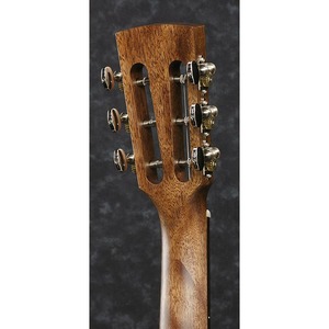 Акустическая гитара IBANEZ ArtWood AVN9-OPN