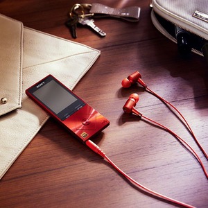 Цифровой плеер mp3 Sony NW-A25HN кирпично-красный