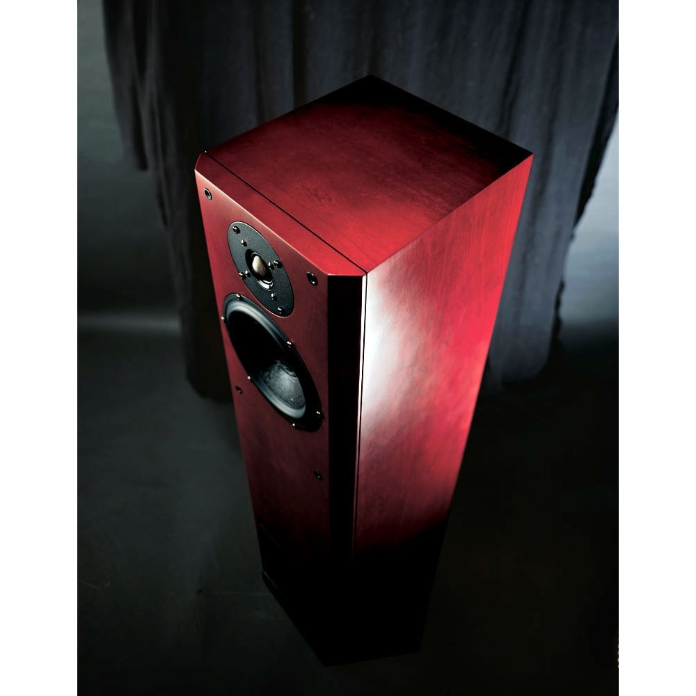 Напольная акустика Usher V-602 Mahogany Birch