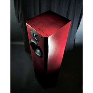 Напольная акустика Usher V-602 Mahogany Birch