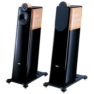 Напольная акустика Usher CP-6311 Piano Black