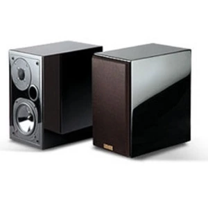 Полочная акустика Usher S-520 Piano Black