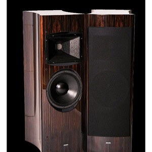 Напольная акустика Ayon Audio BlackBird