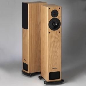 Напольная акустика PMC FB1i Oak