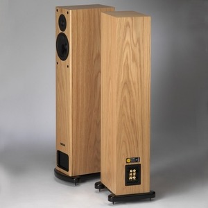 Напольная акустика PMC FB1i Walnut