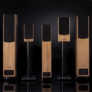 Напольная акустика PMC FB1i Walnut