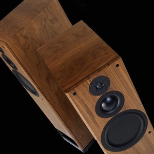 Напольная акустика PMC PB1i Walnut