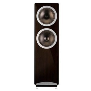 Напольная акустика Tannoy Definition DC 10T Walnut