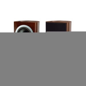 Полочная акустика Tannoy Definition DC 8 Walnut