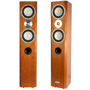 Напольная акустика Tannoy BlairGar 20