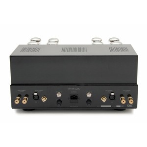 Усилитель мощности Cary Audio CAD 120S Black