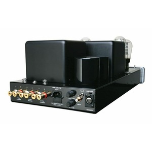 Усилитель мощности Cary Audio CAD 211 AE Black